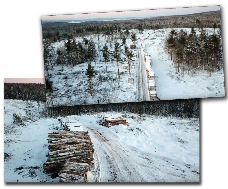 UAV images over Annapolis County Clear Cut