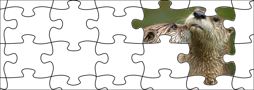 puzzle_otters