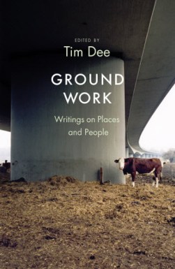 bookCover_groundwork