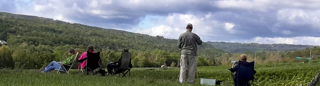 pleinAirArtists
