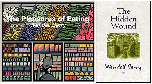 bookCovers_wendellBerry