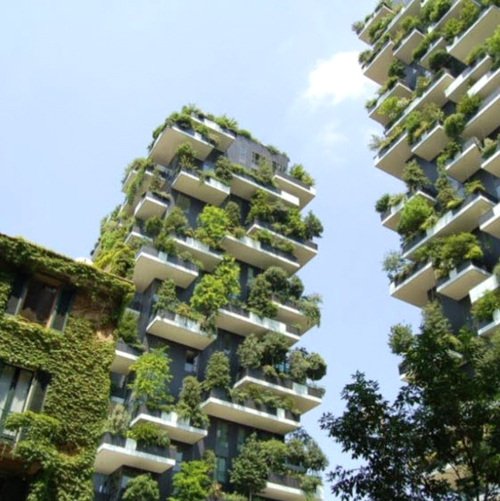 banner_PlantedNewsletterNo1