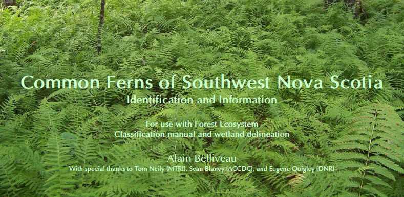 bookCover_fernsSWNova