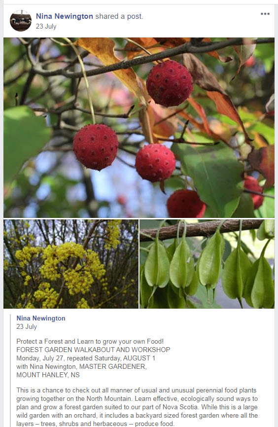 pic_FBpost_ninaNewington