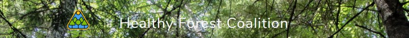 banner_healthyForestCoalition