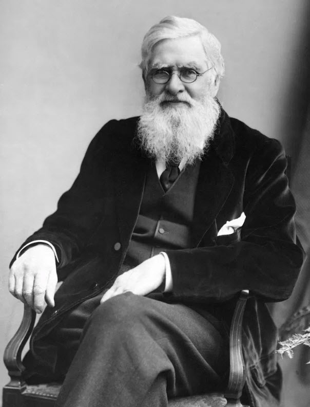 Alfred Russell Wallace (circa 1895)